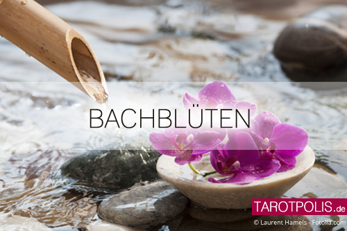 lexikon/tarotpolis-bachblüten.jpg
