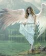 Engelbay - Medium & Channeling - Liebe & Partnerschaft - Beruf & Lebensplanung - Hellsehen & Wahrsagen - Sonstige Bereiche