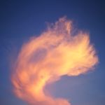 Alessandro - Psychologische Soforthilfe - Tarot & Kartenlegen - Medium & Channeling - Hellsehen mit Hilfsmittel - Lenormandkarten